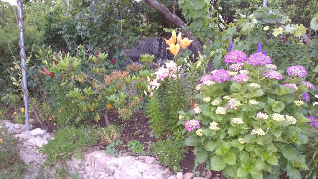 Casas Da Fraga - Serra Da Estrela Форнос де Алгодрес Екстериор снимка